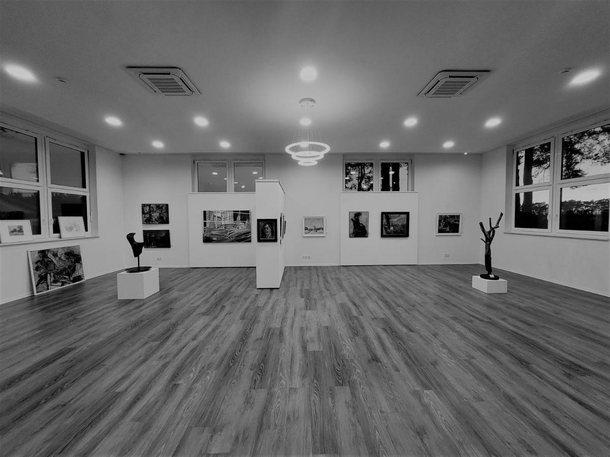 Art & Galerie Hotel Lenz Plauer See Fuenfseen Экстерьер фото